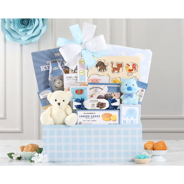507-welcome-home-baby-boy-gift-basket-thankfullyyours-thankfully-yours