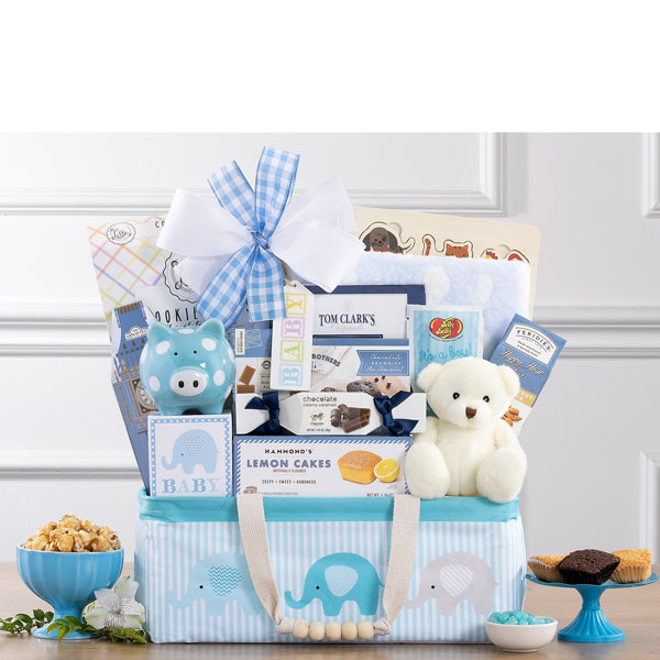 994-bundle-of-joy-blue-gift-basket-thankfullyyours