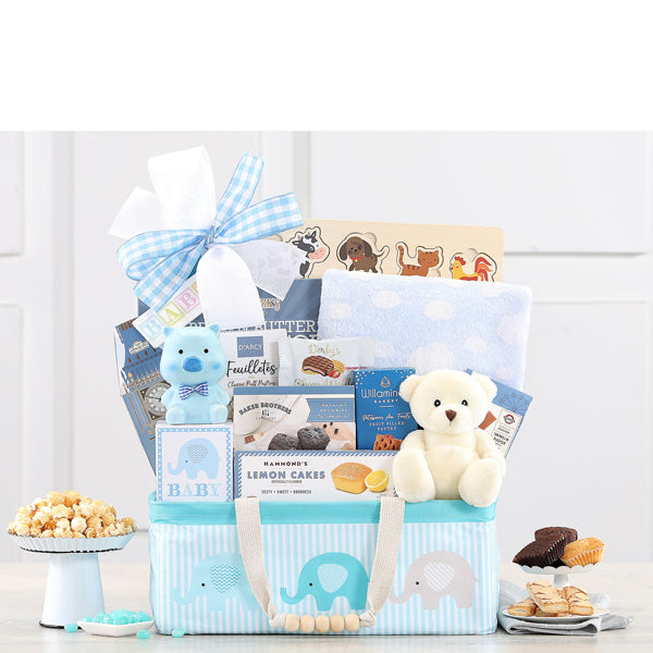 994-bundle-of-joy-blue-gift-basket-thankfullyyours