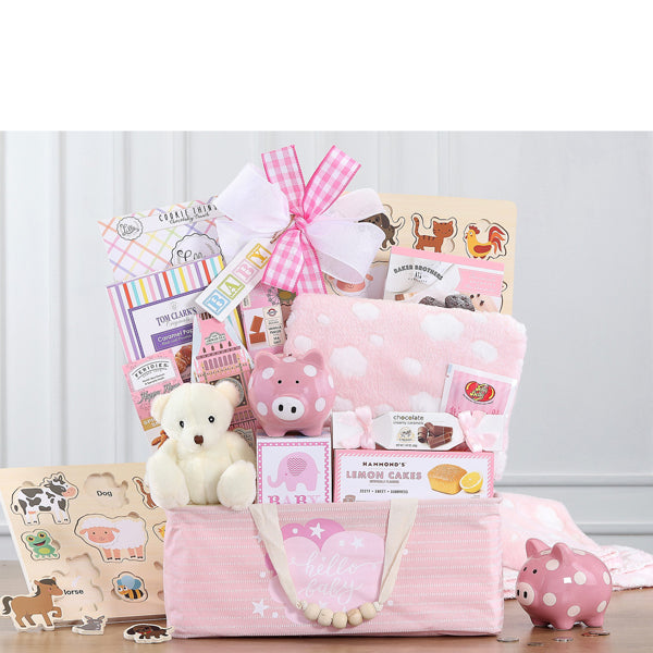 Bundle of Joy - Pink Gift Basket